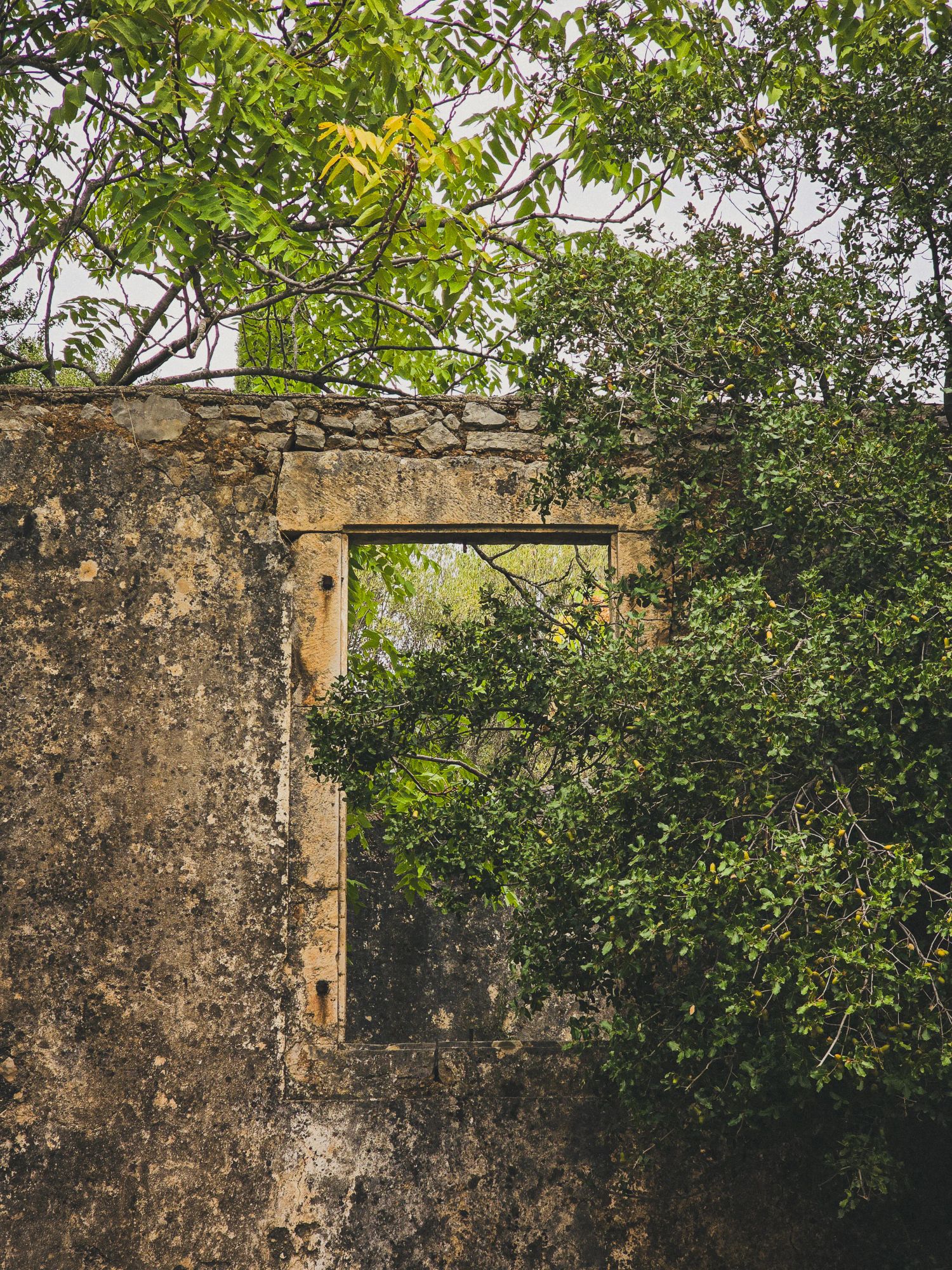 Description of photo