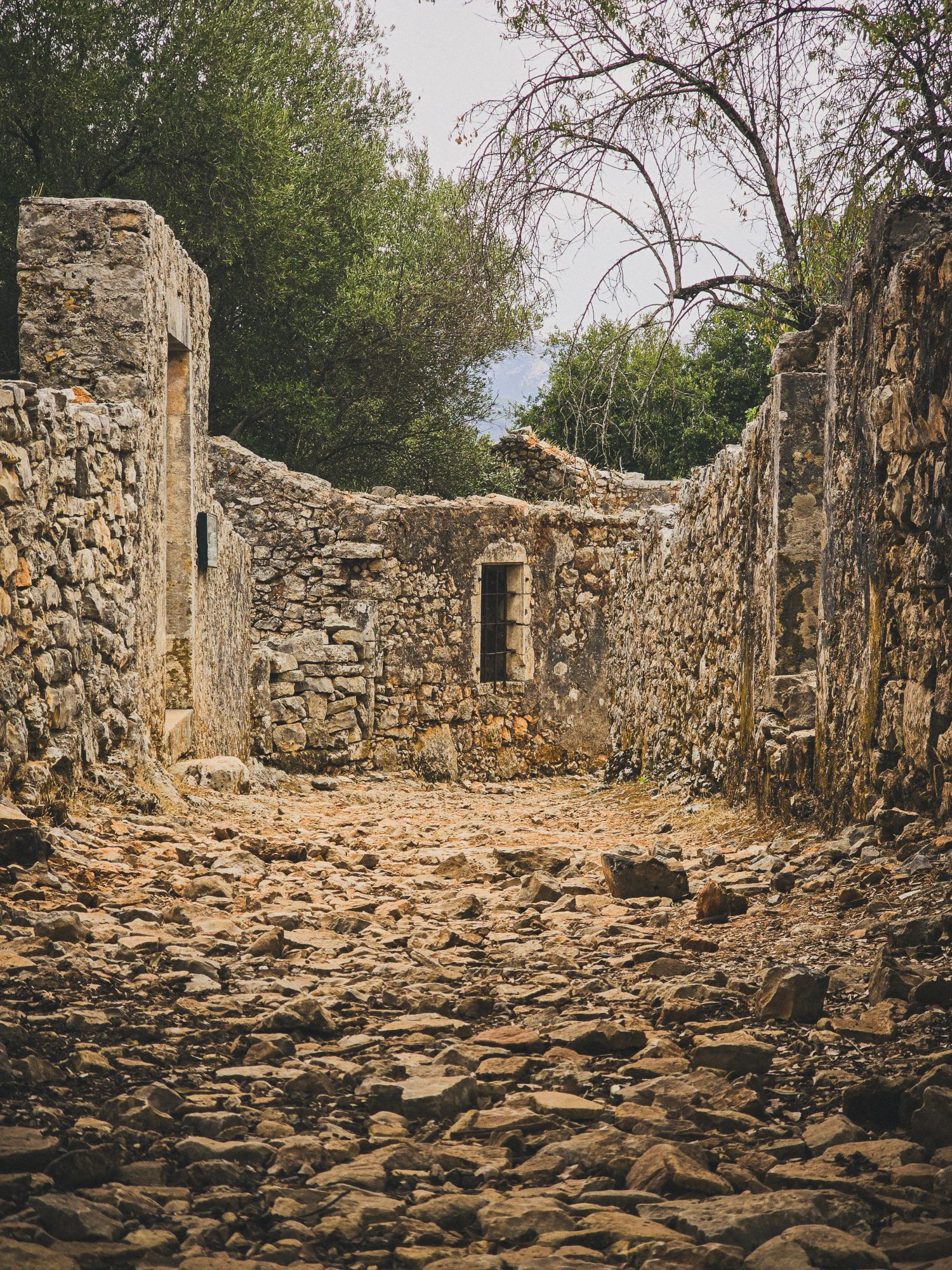 Description of photo