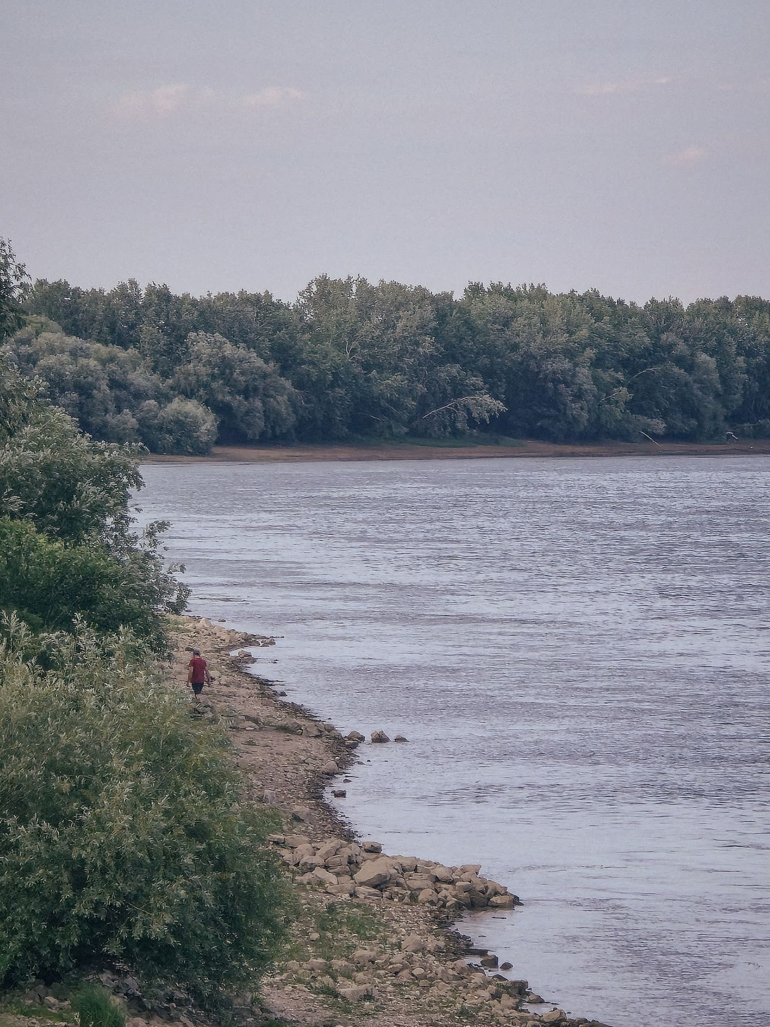 Description of photo